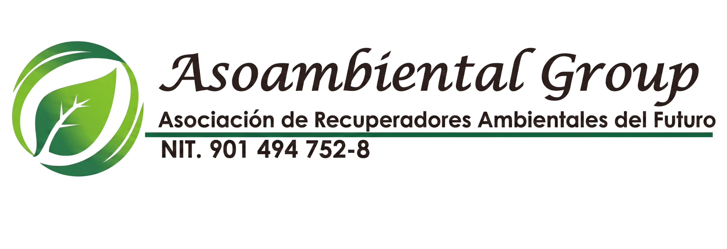 asoambientalgroup.com